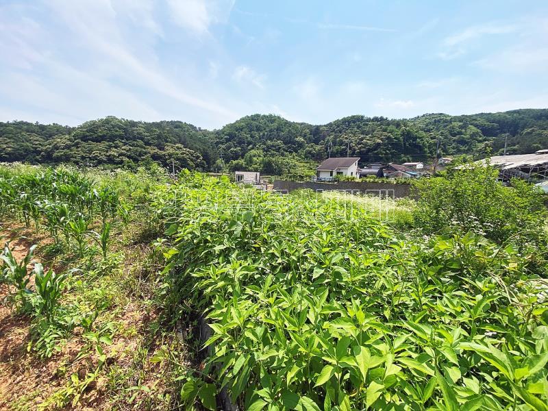 양평군 양서면 청계리 청계산 자락의 공기좋은 토지_7